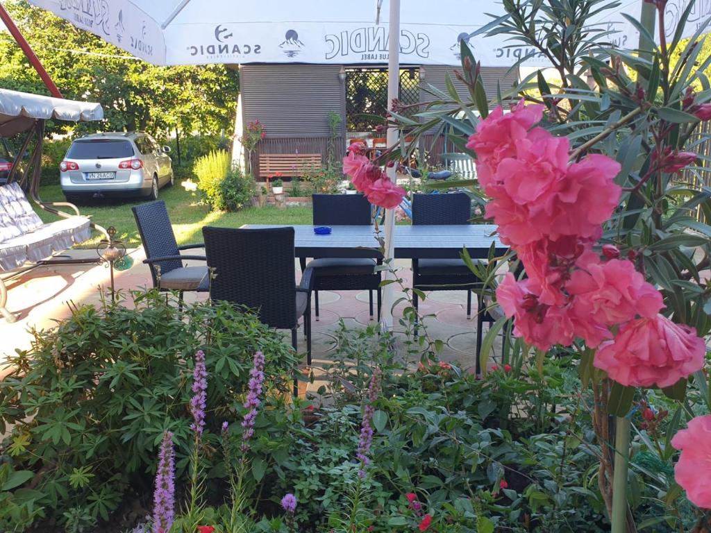Casa Mary photo 1