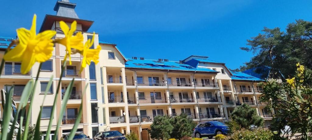 BLUE MARE Apartamenty MES photo 4