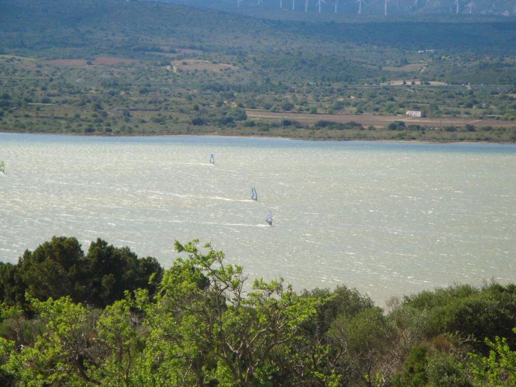 Leucate,au calme,dans la verdure, dans mas occitan sécurisé photo 1