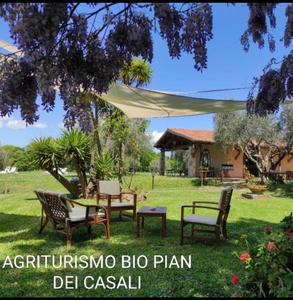 Agriturismo Bio Pian Dei Casali photo 4