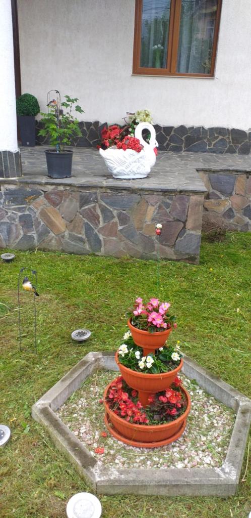 Vila Felicia photo 3