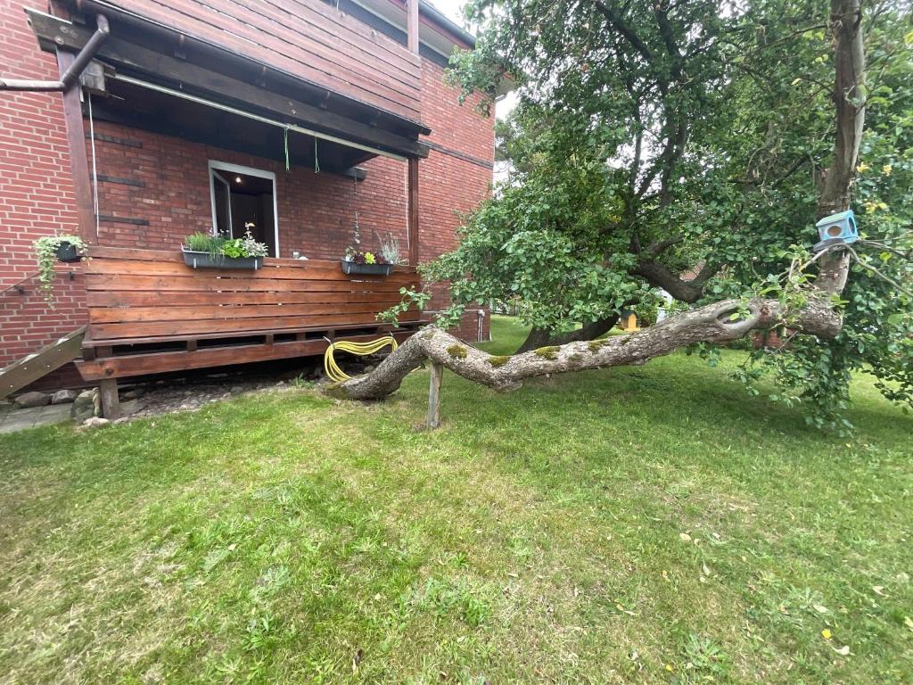 Ferienwohnung am Kirschenbaum photo 3