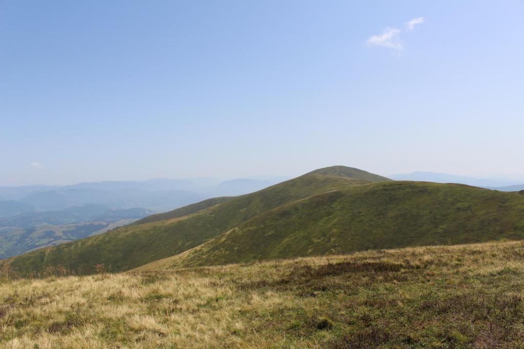 Goryanyn photo 4