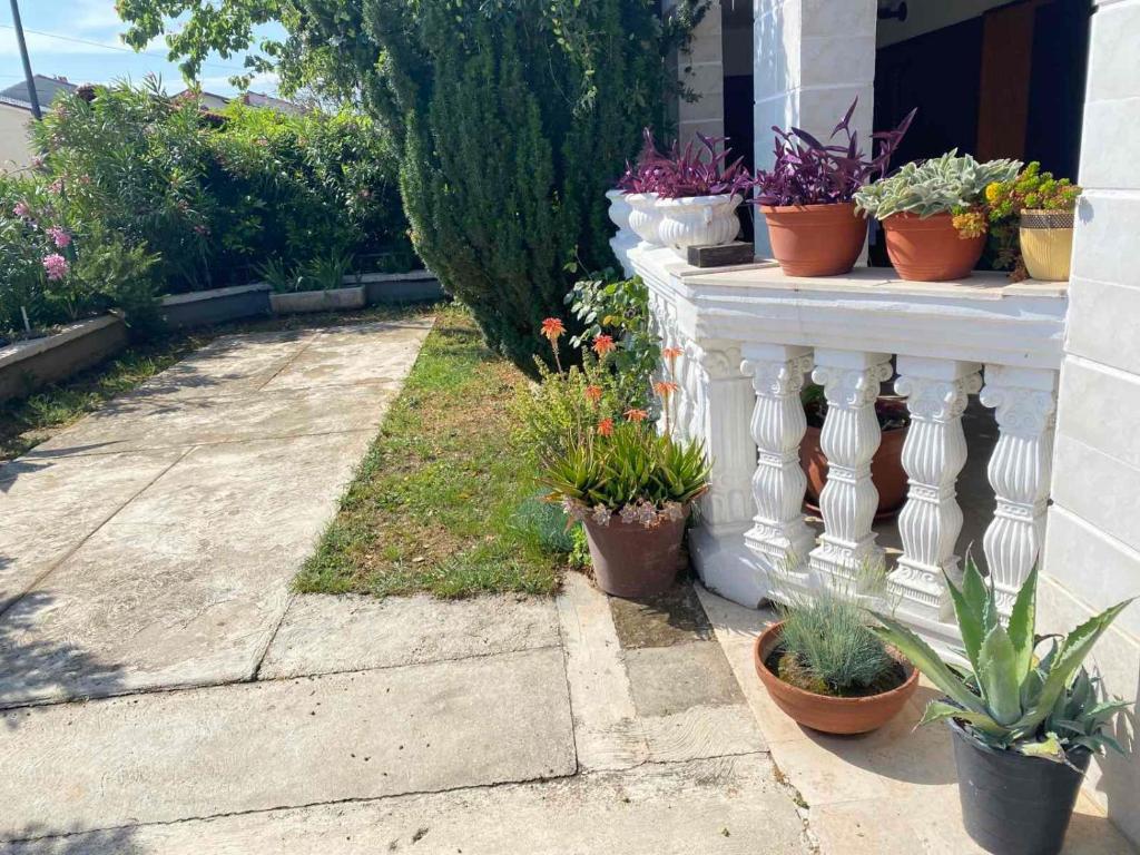 Apartmani Jelena photo 3