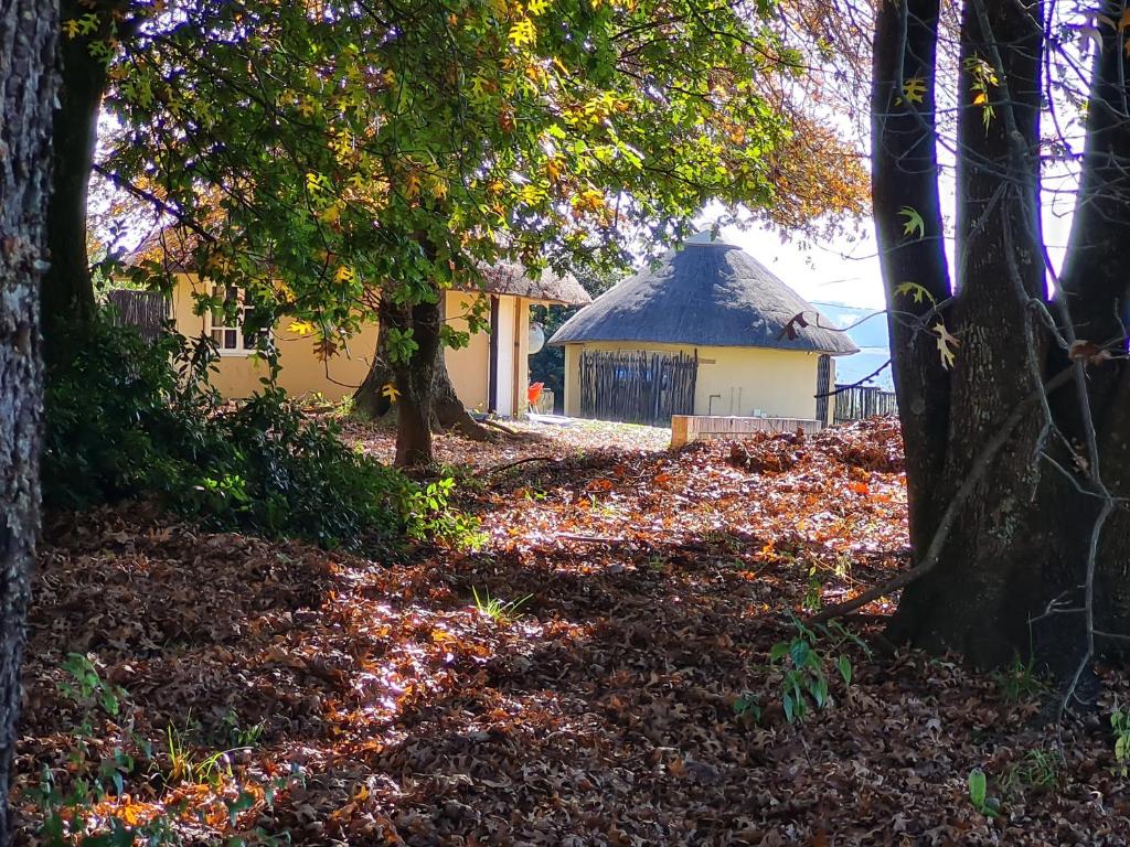 Swallowfield Rondavels photo 4