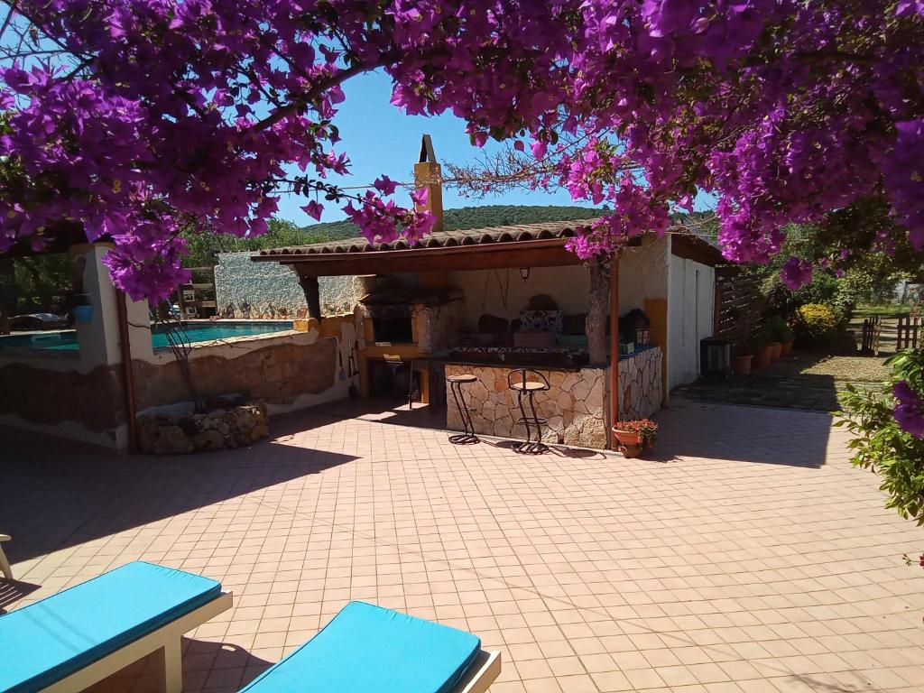 Coral Riviera Sardinia villa & cottage photo 3