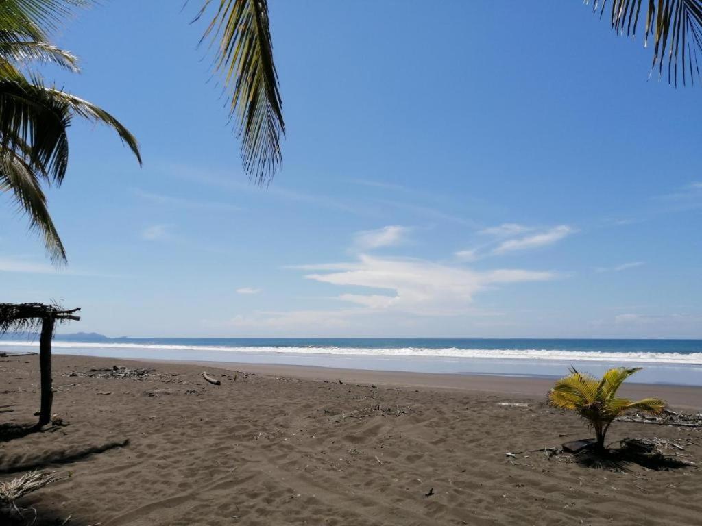 Maison du Bonheur costaricienne sur la plage Paradis caballo del mar photo 4