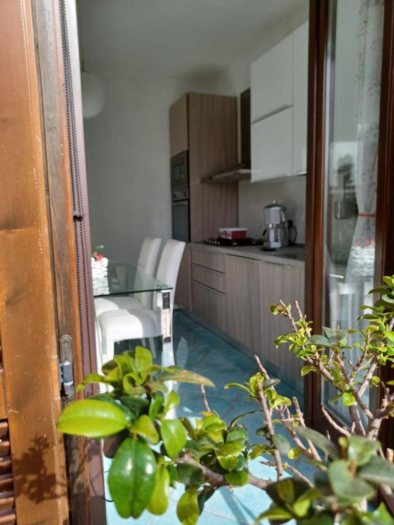 B&B Casa vacanze Cilentami photo 1