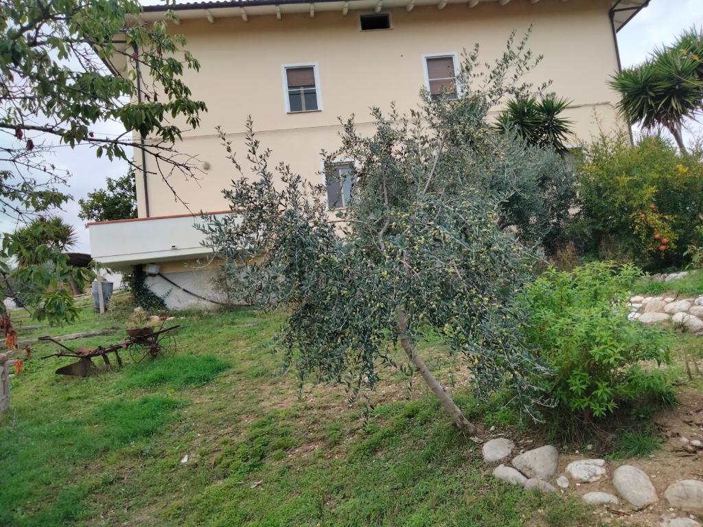 Casa il Canto photo 2
