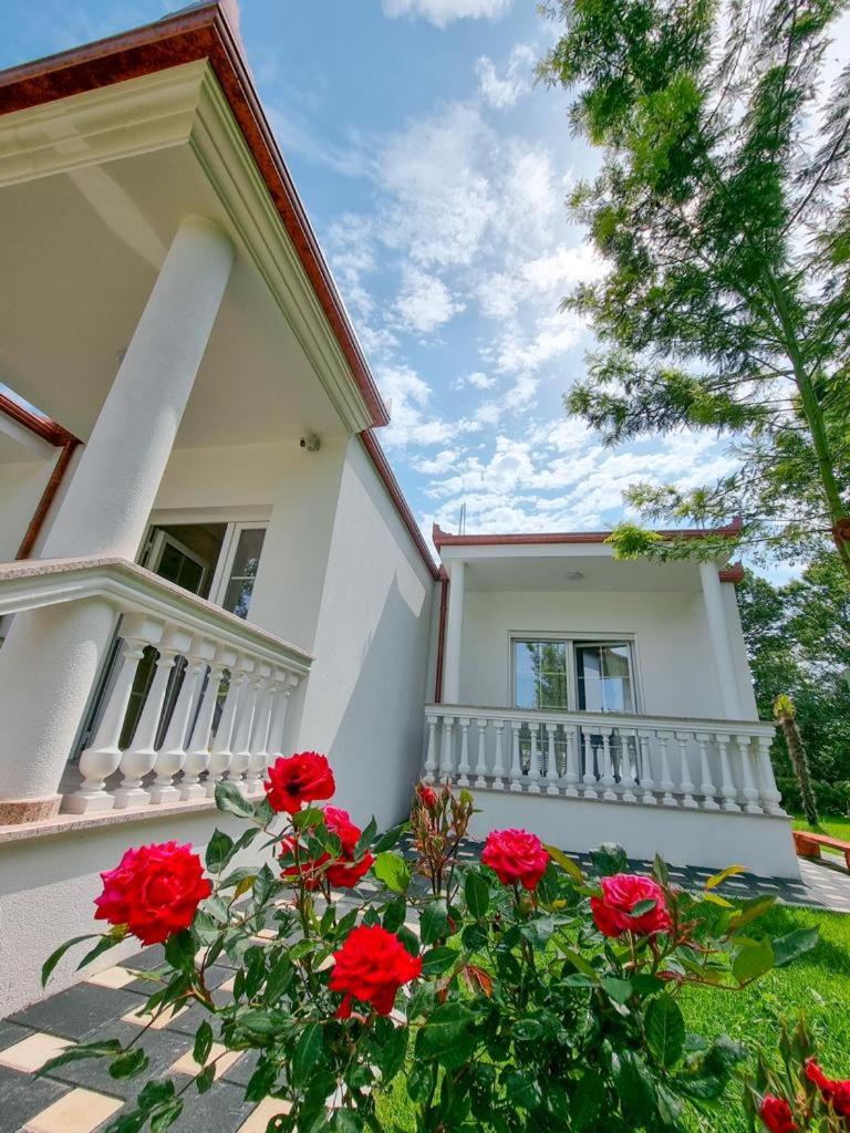 Frenki'S Residence