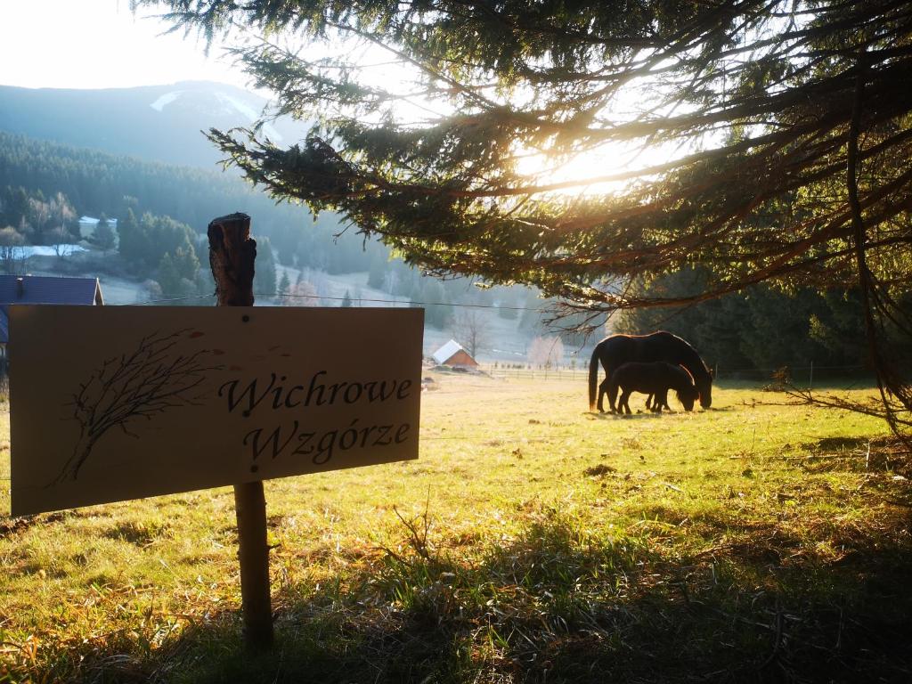 Wichrowe Wzgorze photo 4