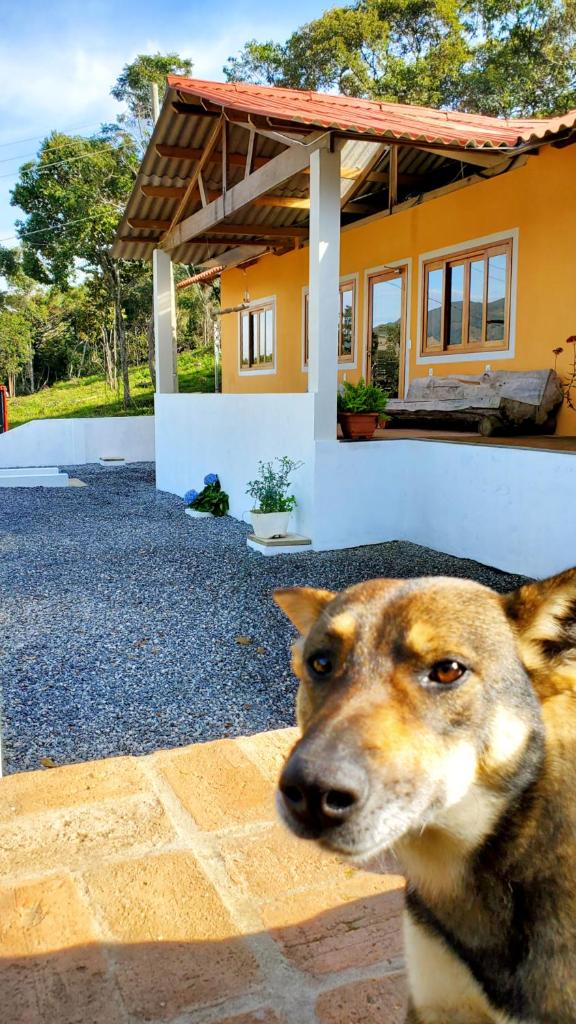 IVOS Hostel & Camping photo 1