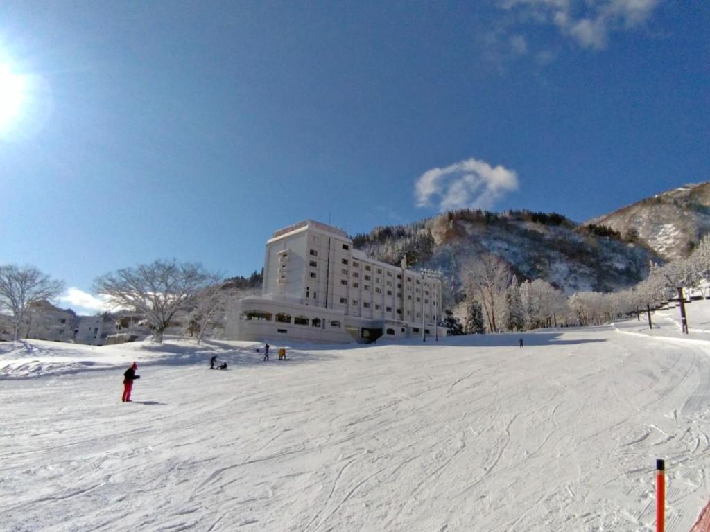 Yuzawa Toei Hotel photo 3
