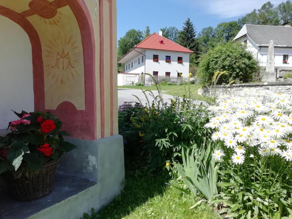 Ubytování Praschlhaus photo 2