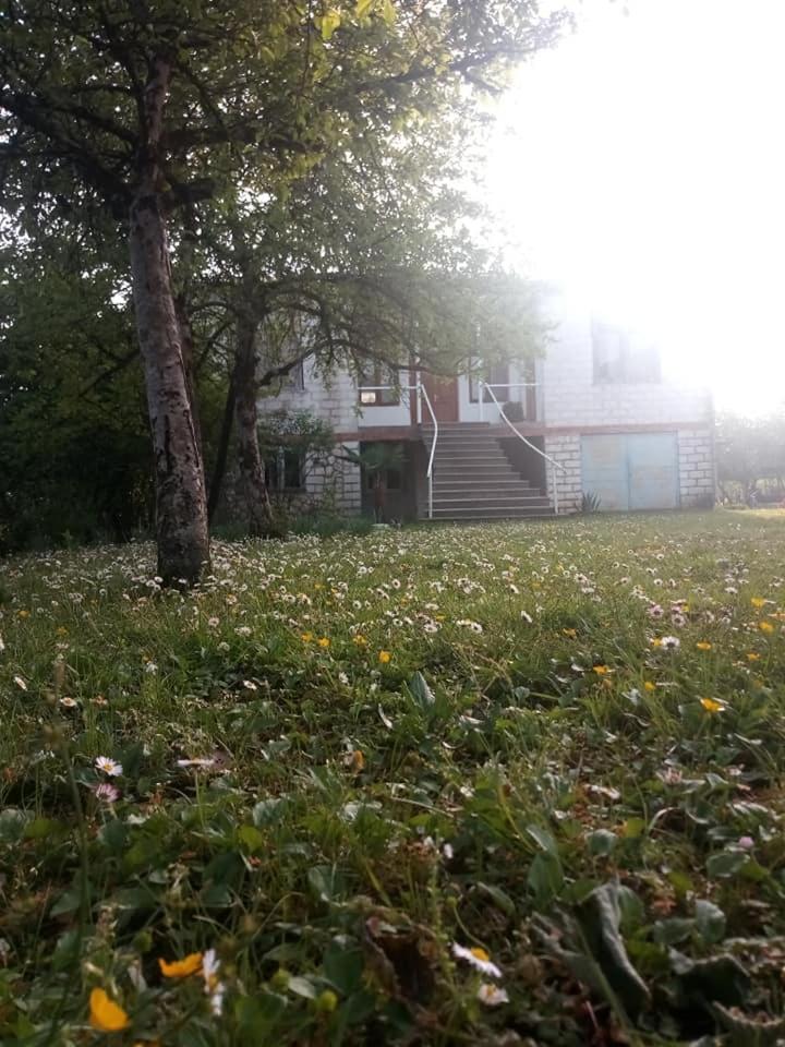 Natura guesthouse martvili photo 1