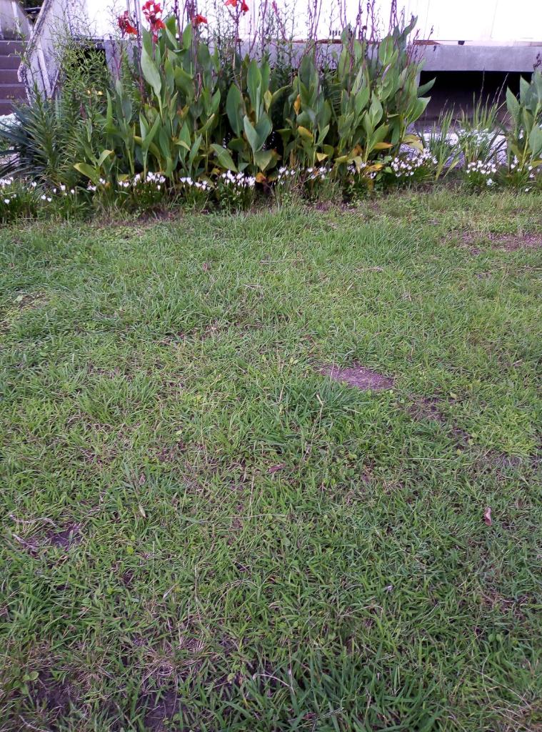 Natura guesthouse martvili photo 3