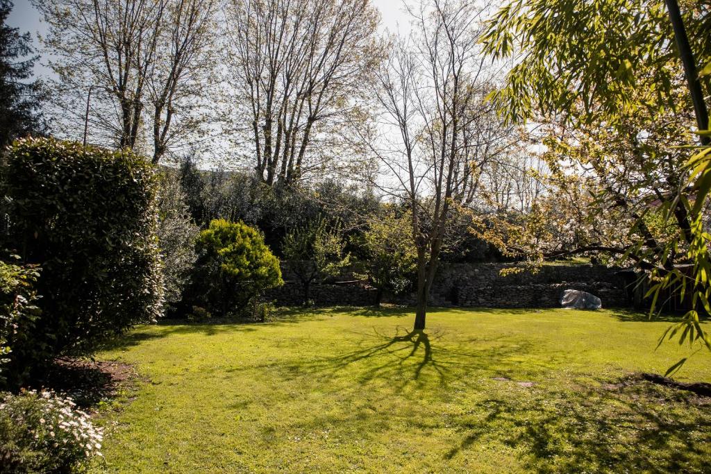 Social Garden photo 4