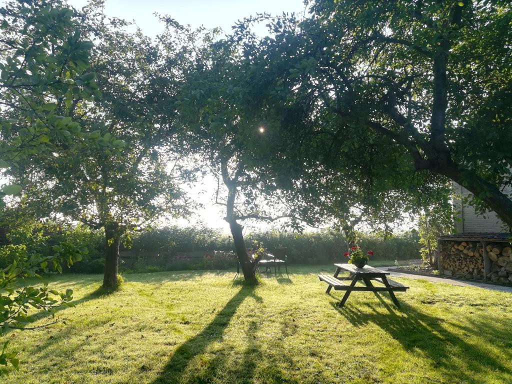 in de Boomgaard photo 4