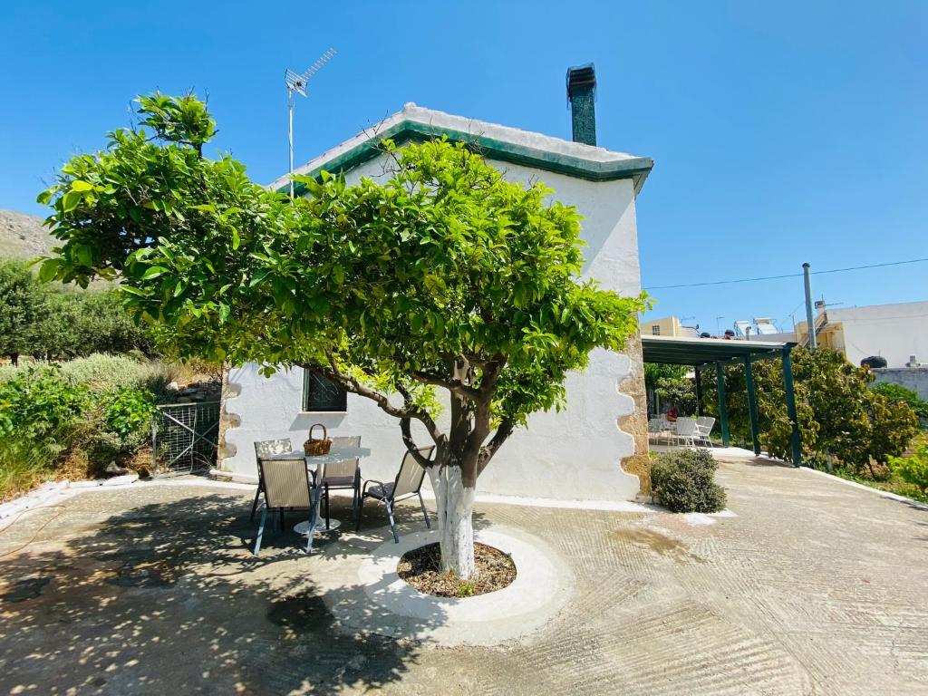 The Green Home photo 4