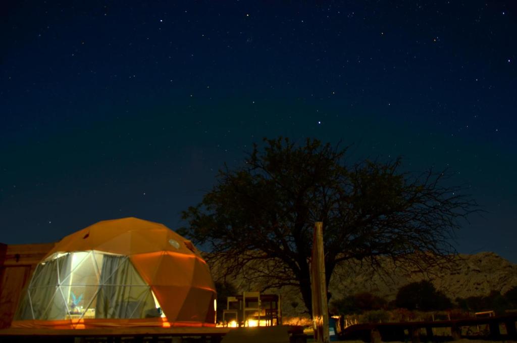 Siilu Wasi. Glamping. photo 1