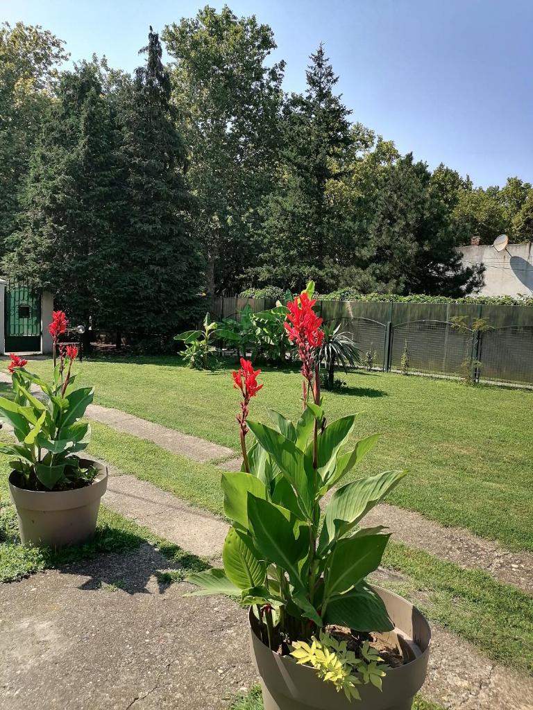 Apartman Garden House photo 2