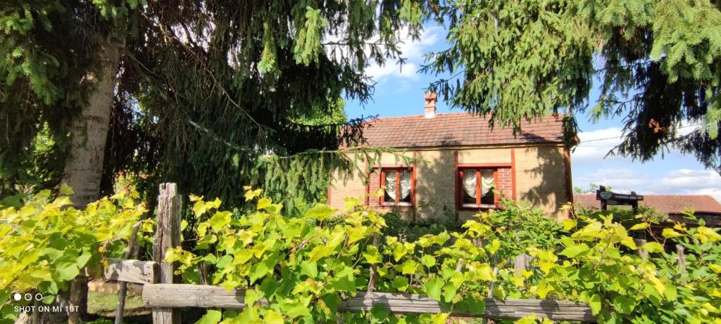 Ruralna kuća za odmor Pozojova hiža - Rural Holiday House photo 1