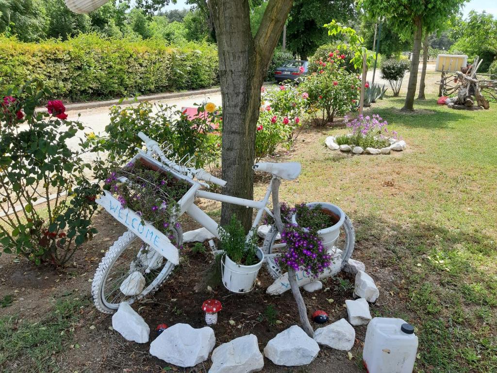 Evgenia Maisonette photo 4
