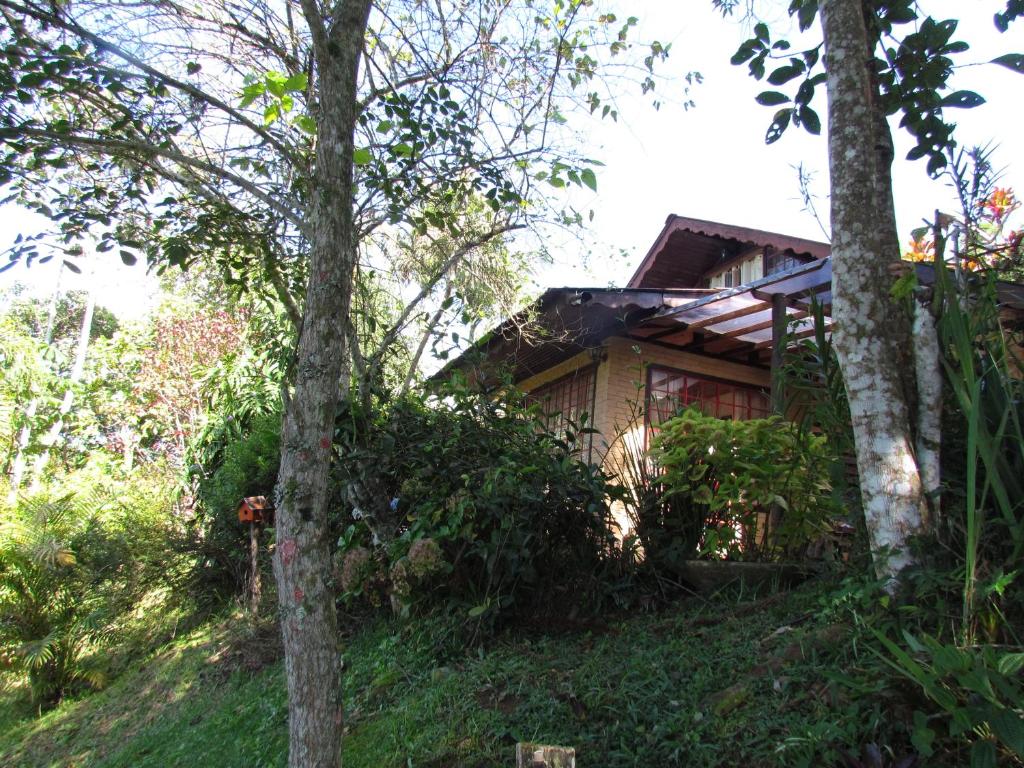 Chalé Pakere Montanha Lumiar - Conforto a mais de 1000 metros de altitude junto a natureza, lareira, wifi, piscina, sauna e água de nascente photo 4