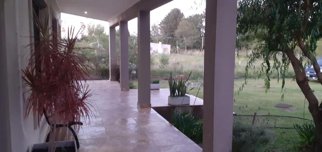 Casa de Campo La Amada photo 3