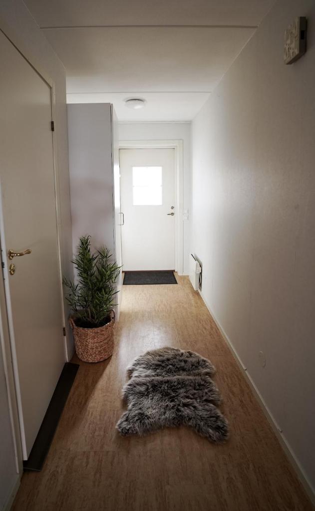 Frost Longstay Sundellsgatan 3 C photo 1