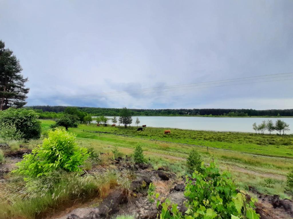 Domek letniskowy Mały Mermet photo 1