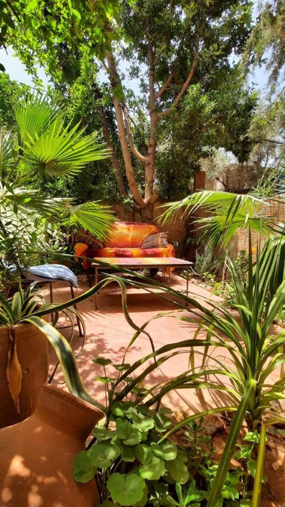 DAR OUZOUD Vegan photo 3