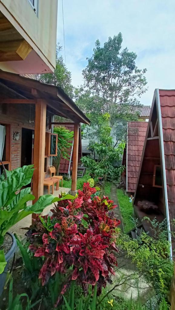 Bliss family cottage Batu photo 4