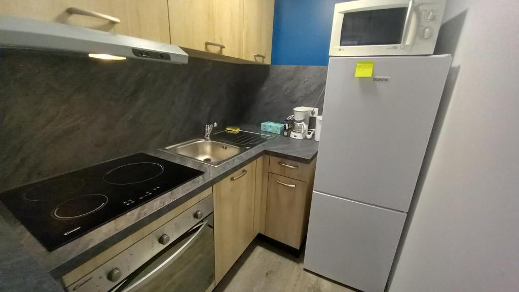 Saint-flour appartement au cœur de la ville photo 2