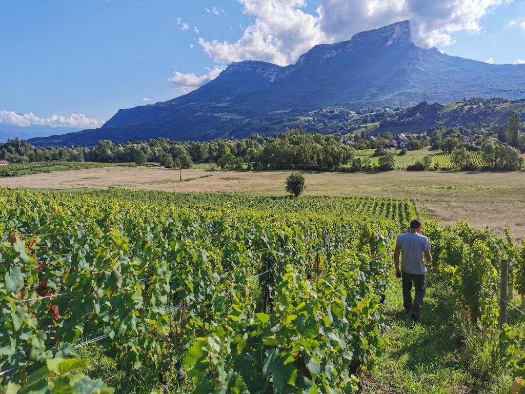 Domaine des Granges Longes photo 2
