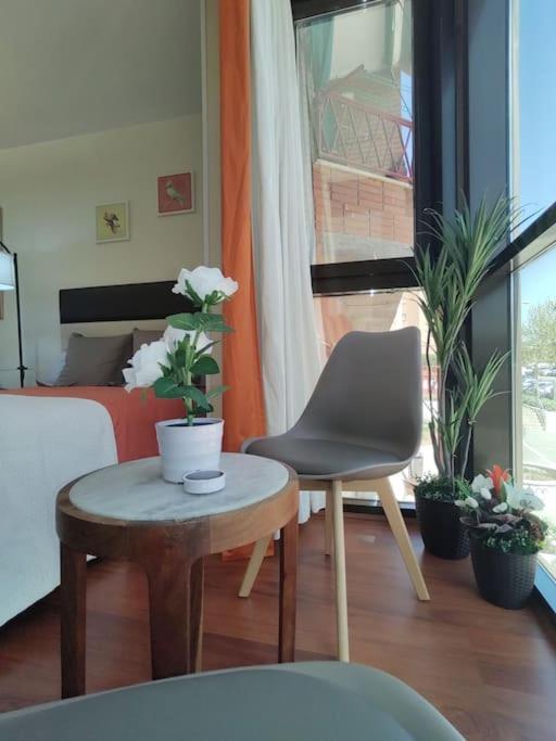 Madrid AlcoTour Apto trabajo y relax photo 3
