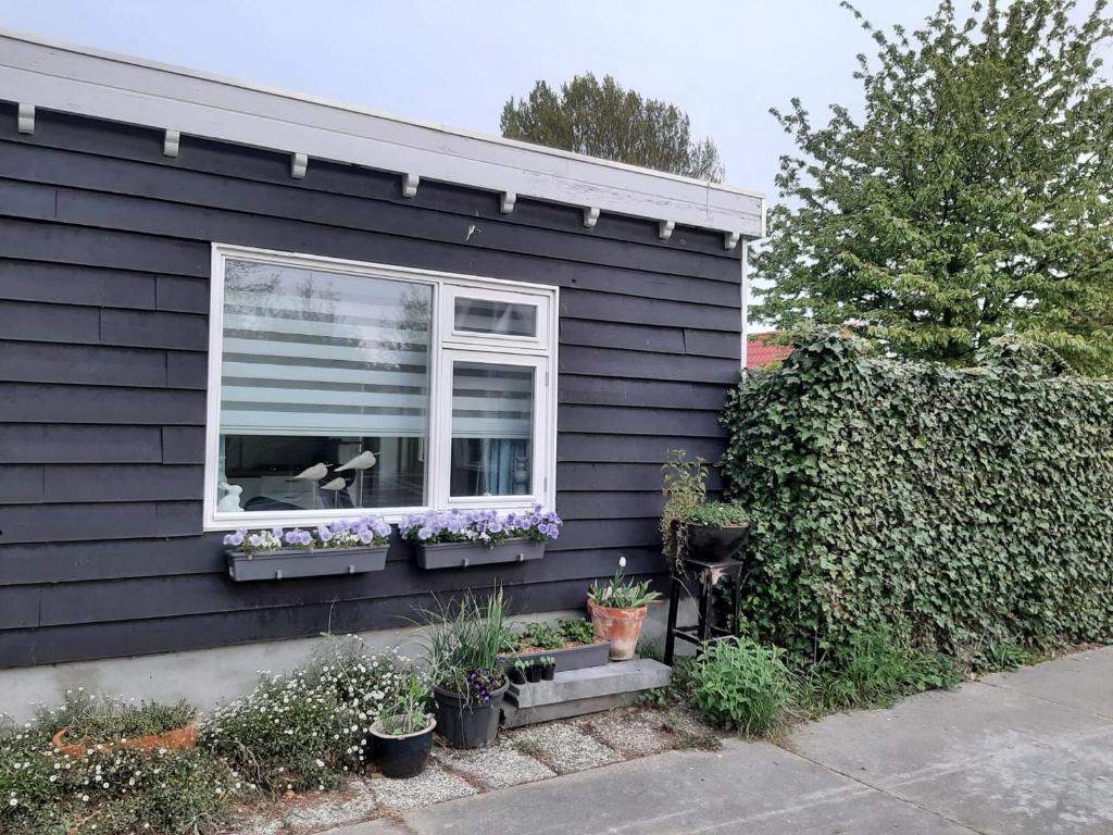 Appartement Boomgaard photo 3