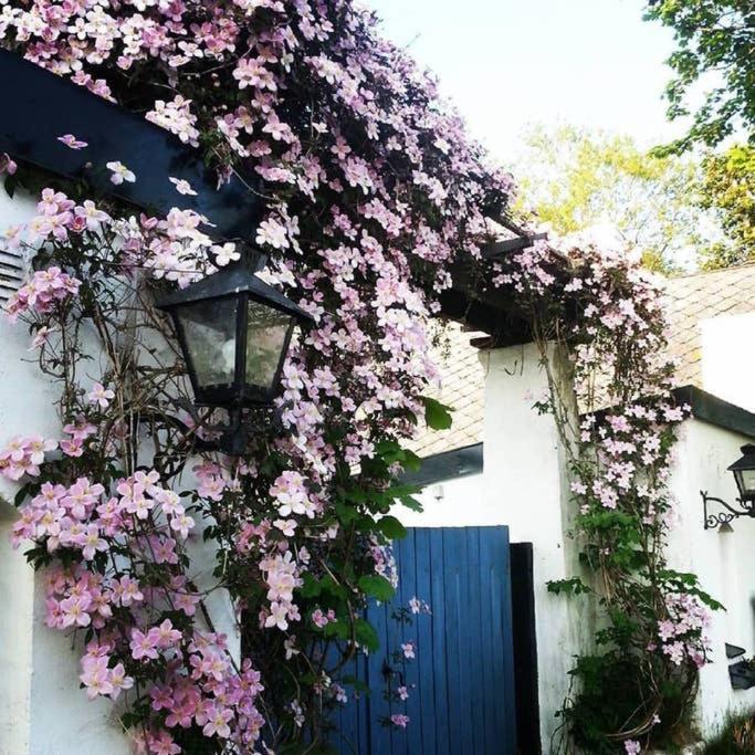 Villa Vemmentorp - Äppelblomsvillan 6 min från havet photo 1