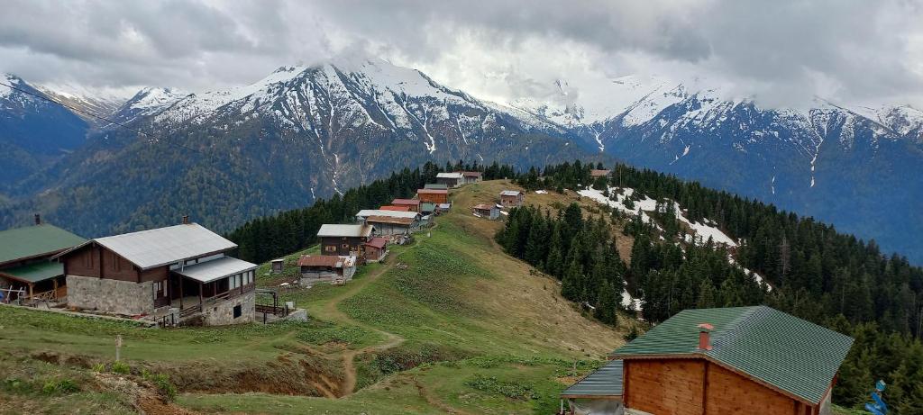 POKUT HELUN photo 2