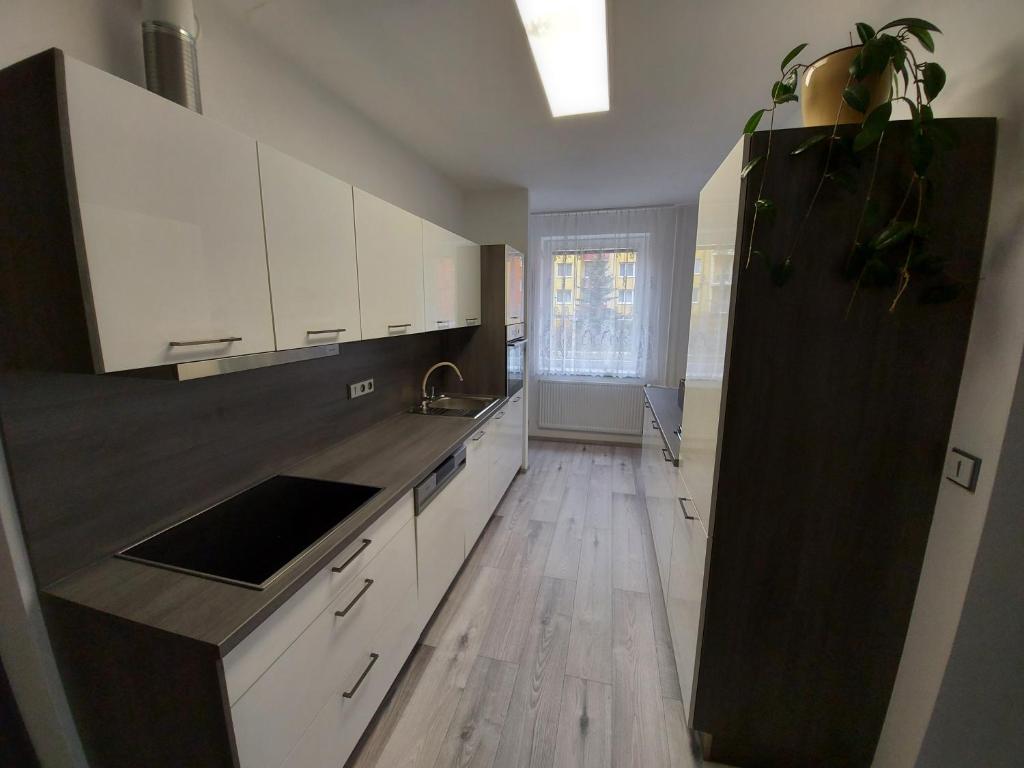 Apartmán Eva - plně vybavený byt - Týn nad Vltavou photo 1