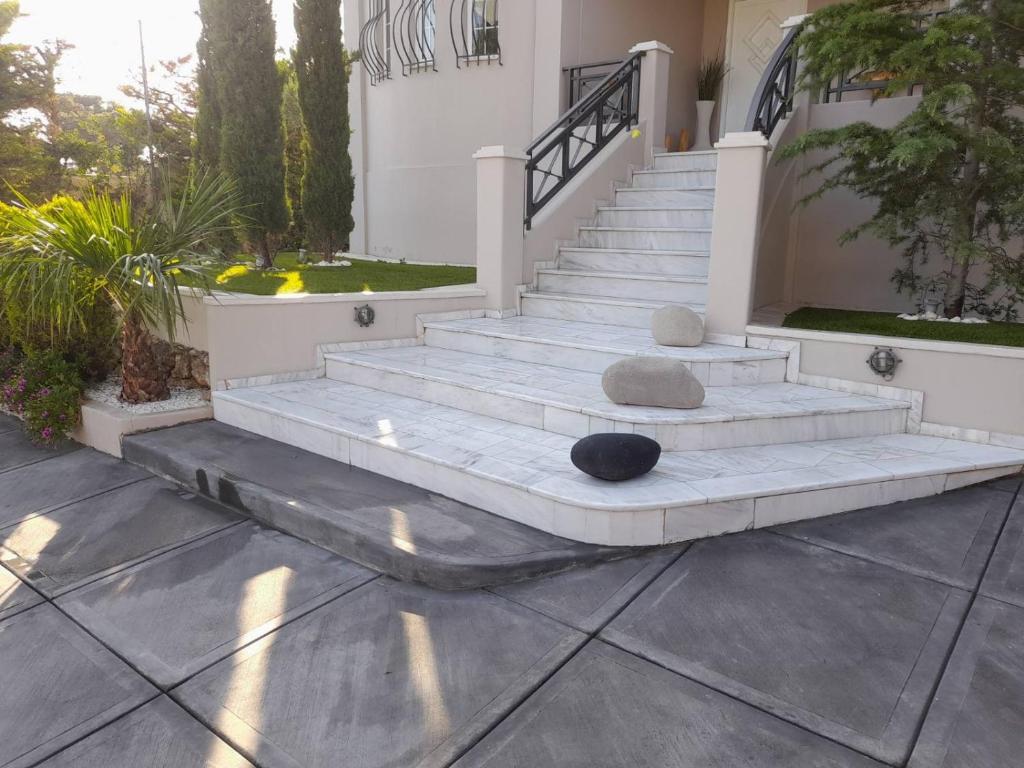 Suite with garden photo 3
