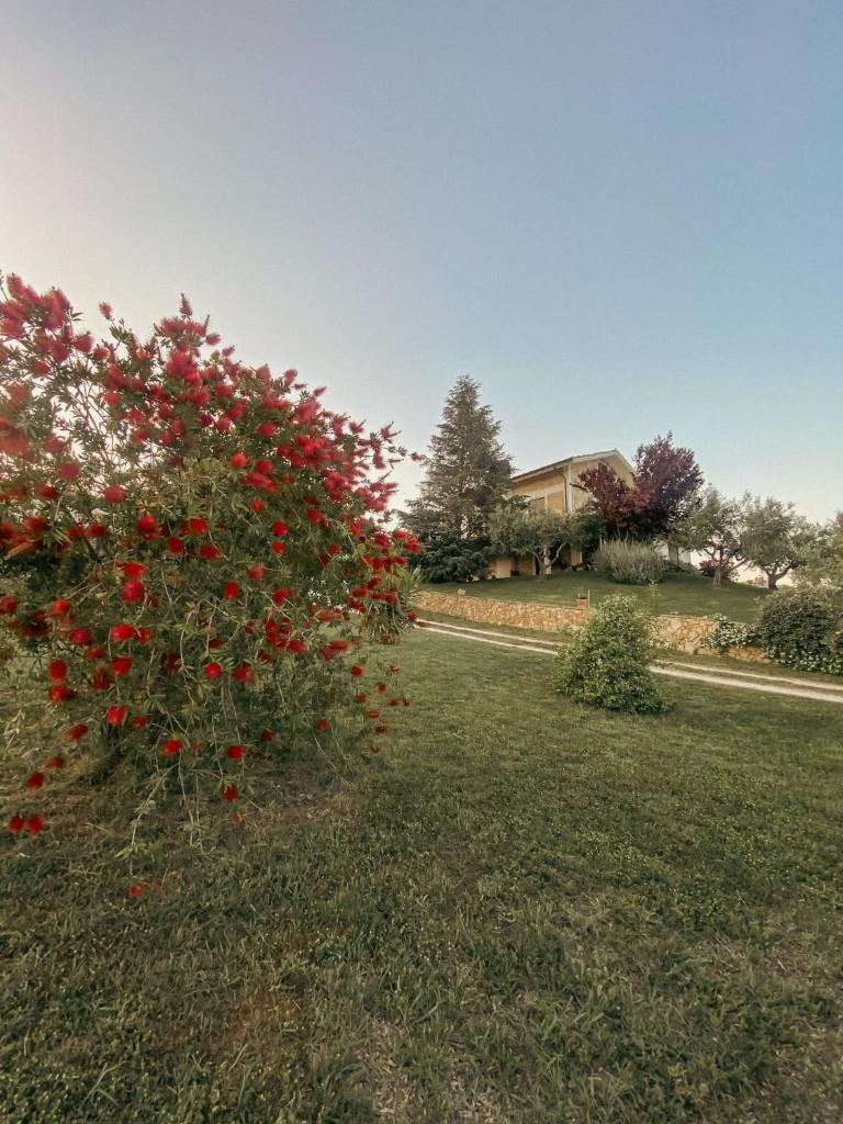 Bed & Breakfast Le Coccinelle photo 2