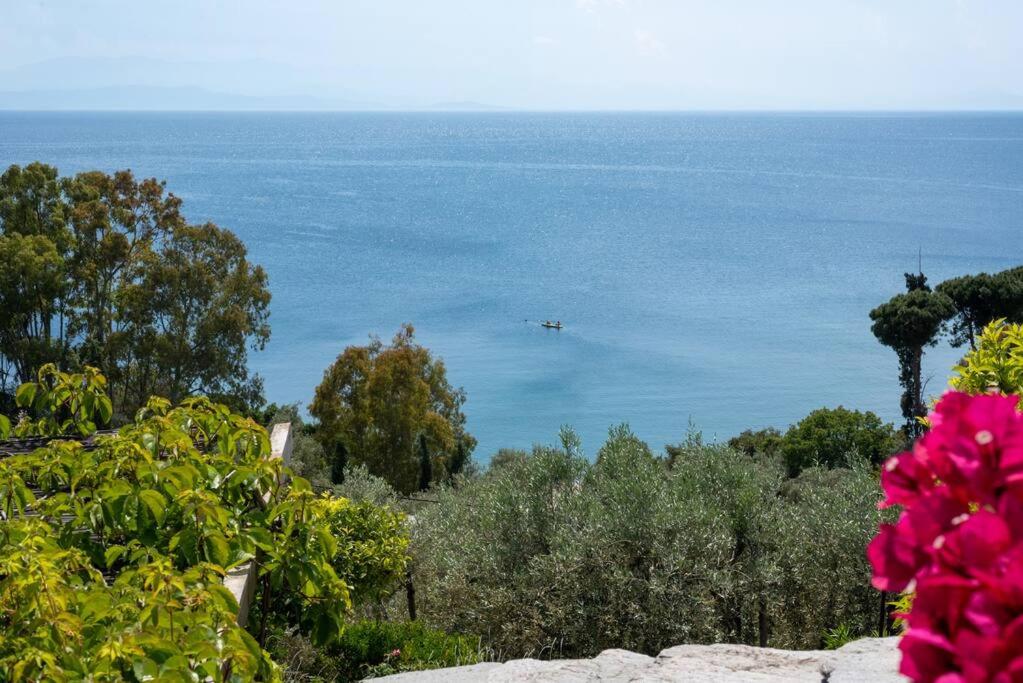 Seaside House with view over Pagasitikos photo 1