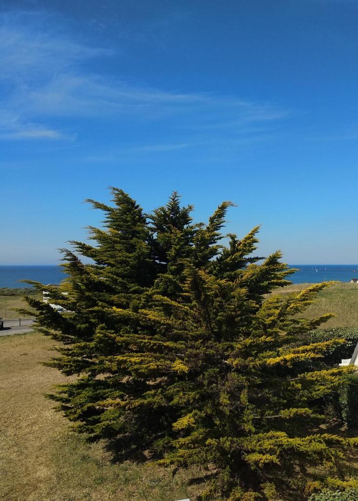 Charmant logement vue mer avec chambre et terrasse photo 3