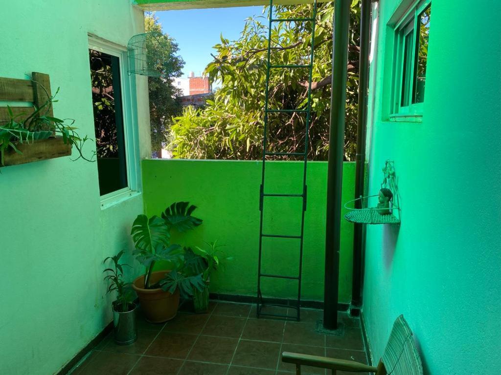 Casa Magica photo 4