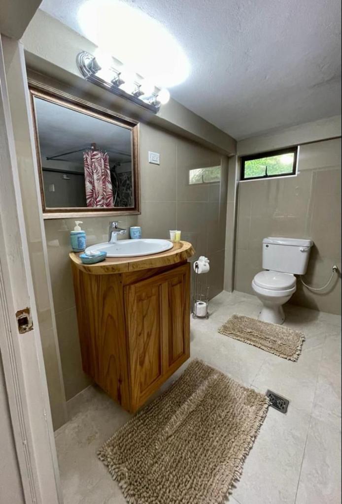 Castara Inn photo 2