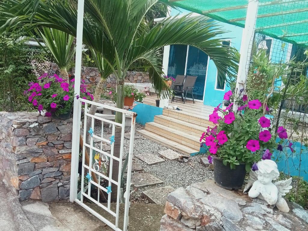 Belinda Home photo 3