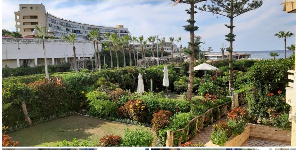 2bed rooms 95m, Garden&sea view, first floor, Family only دور اول بمدخل مستقل photo 2