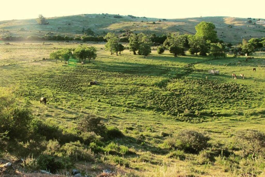 Bungalow de campo Torero - sierras, naturaleza y relax photo 4