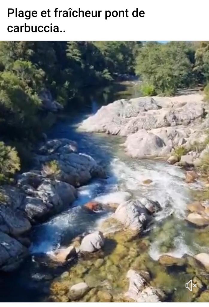 La roulotte photo 2